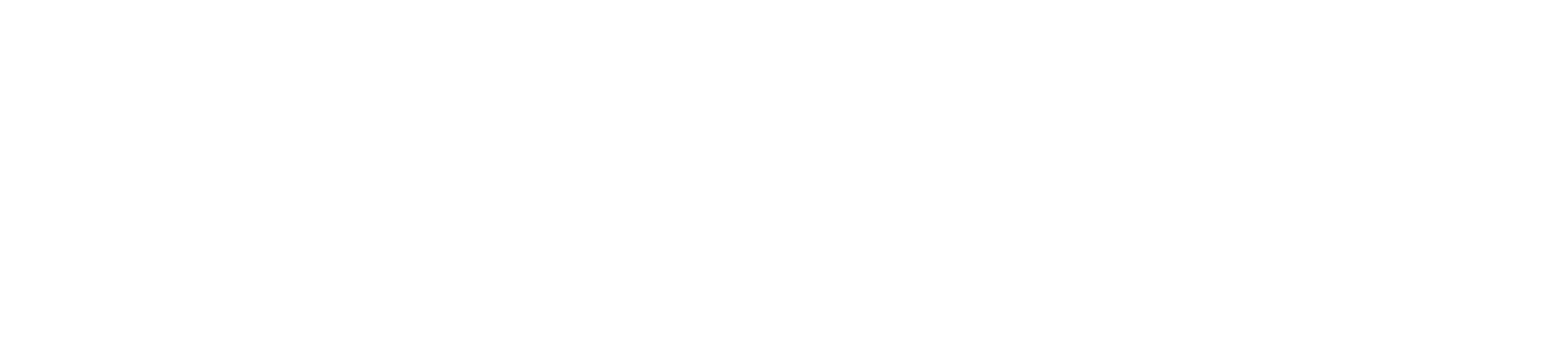 The Bridewell Tavern white logo on transparent background